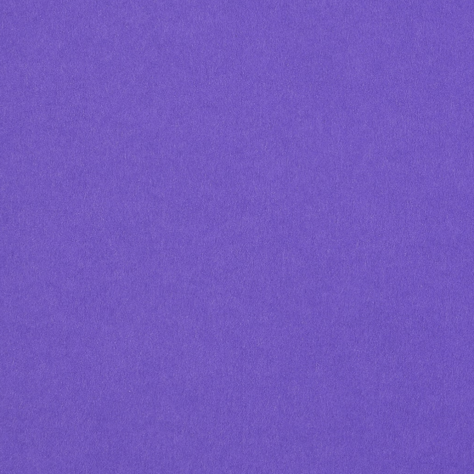 Purple | Colorplan