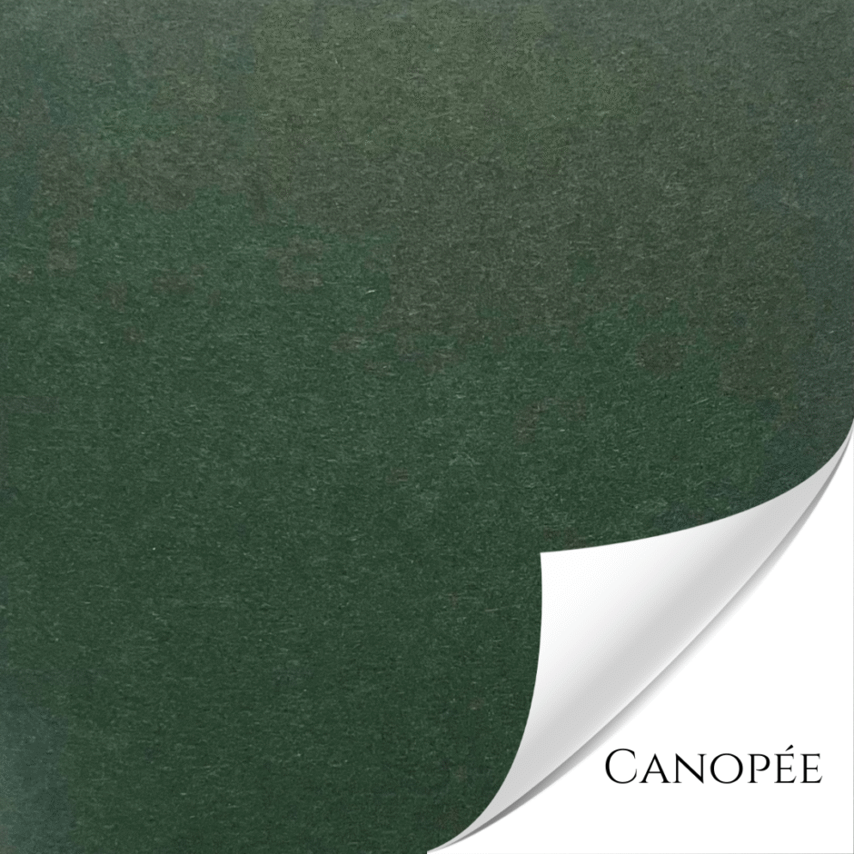 papier création Canopée color 1802 Procop